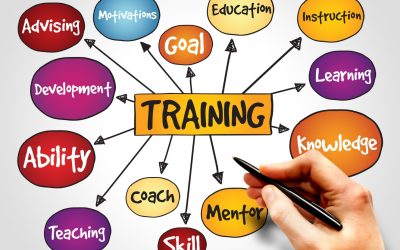 Les Secrets Croustillants des Formations en Ligne Qui Cartonnent
